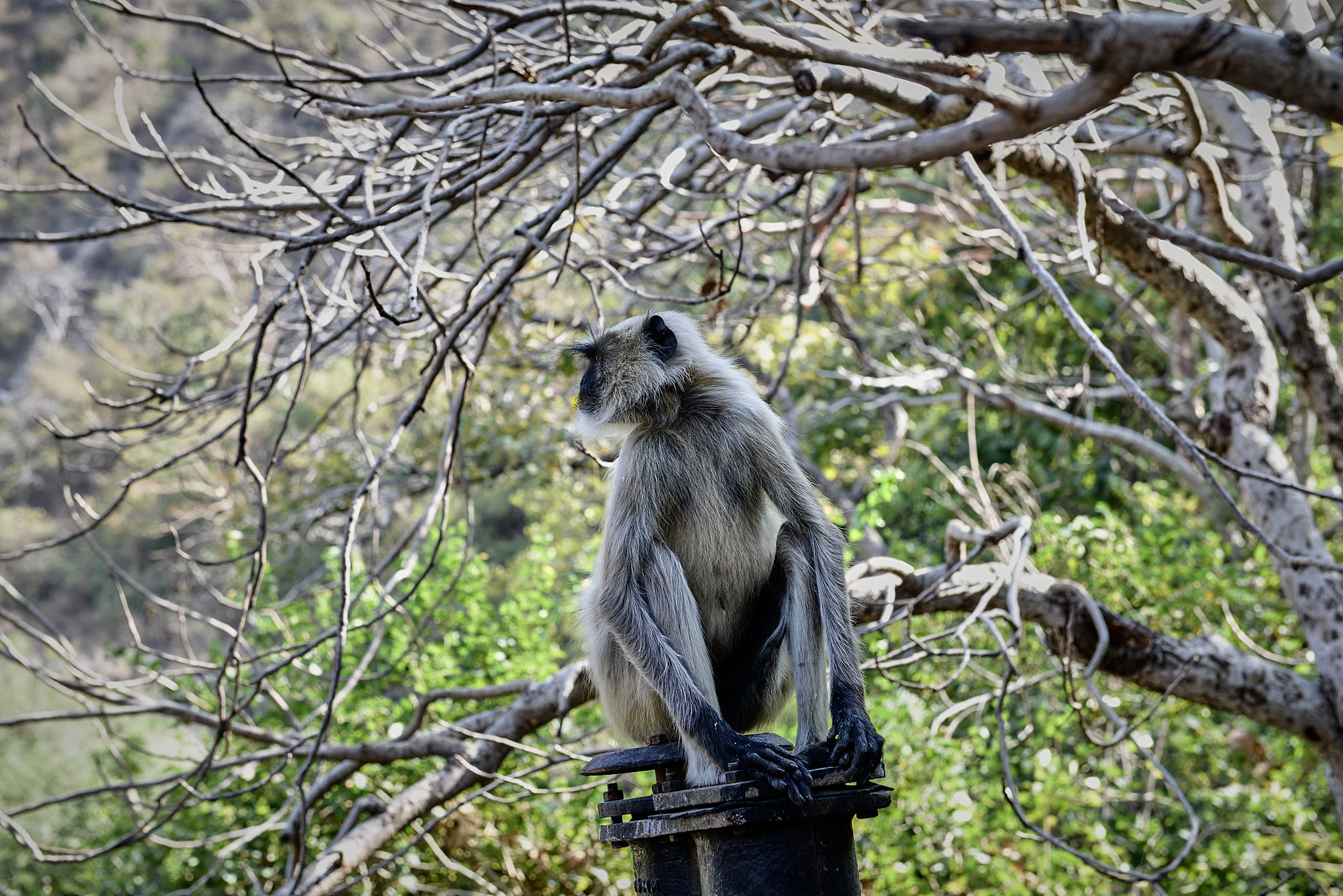 20140103 143 아우랑가바드 아잔타 석굴